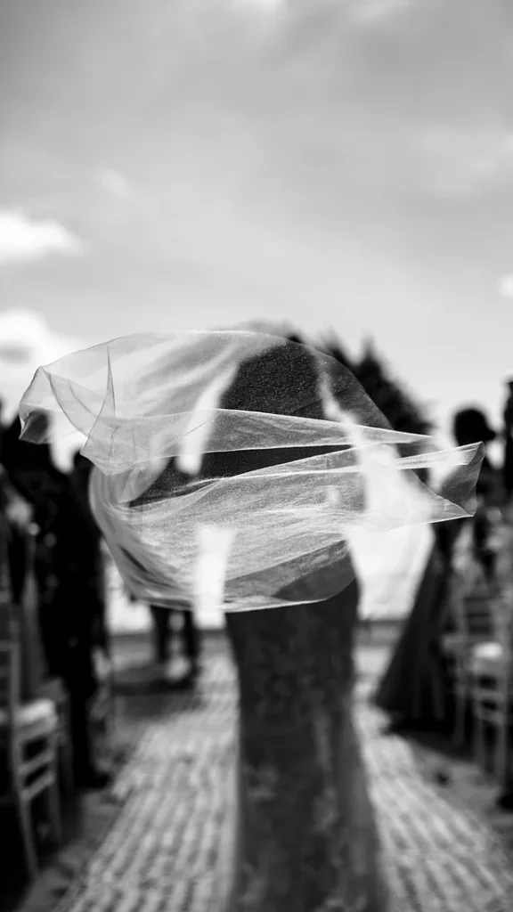 26cb79_f70a787baa004d1fbe6f41694874eaedmv2